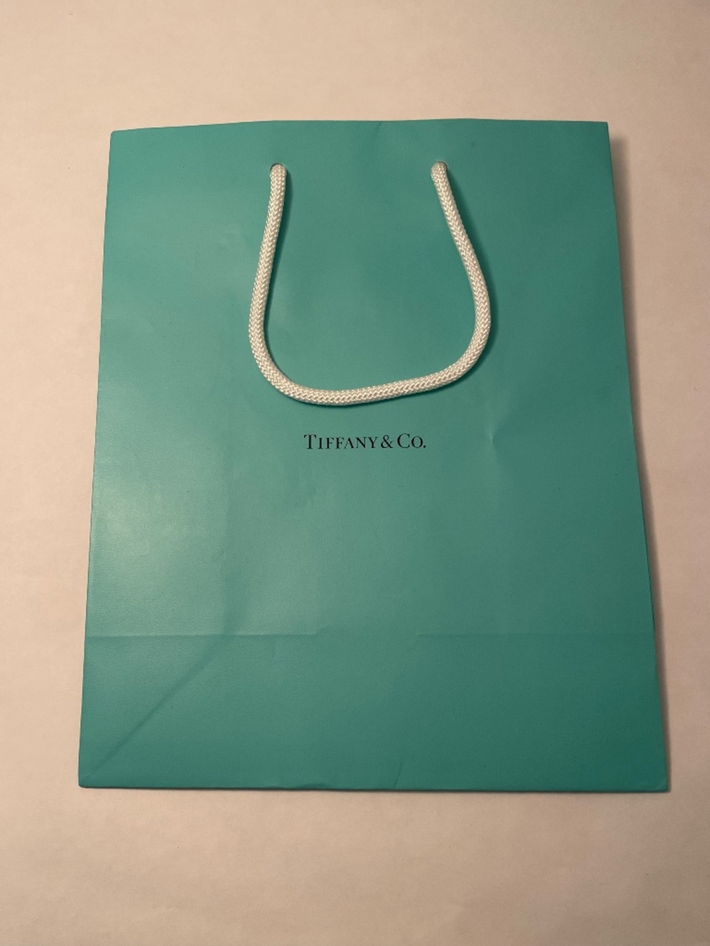 Tiffany Classic Blue Shopping Bag Medium Sized